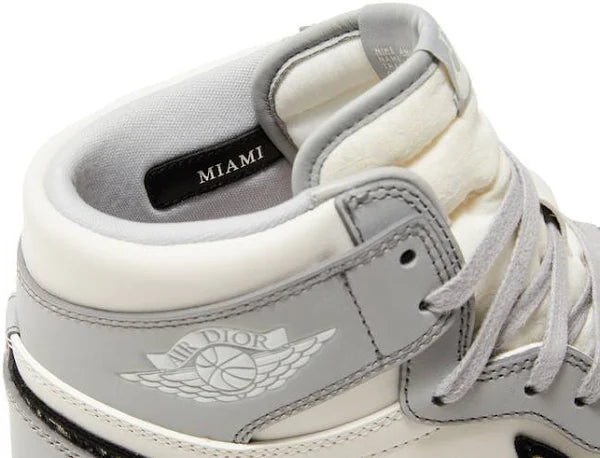 Dior x Air Jordan 1 High OG Wolf Grey