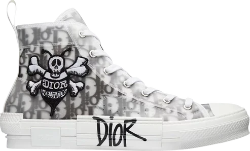 Dior X Shawn B23 High Top Bee Embroidery