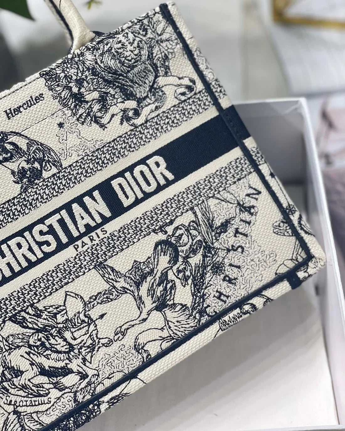 DIOR BOOK TOTE WEISS SCHWARZ