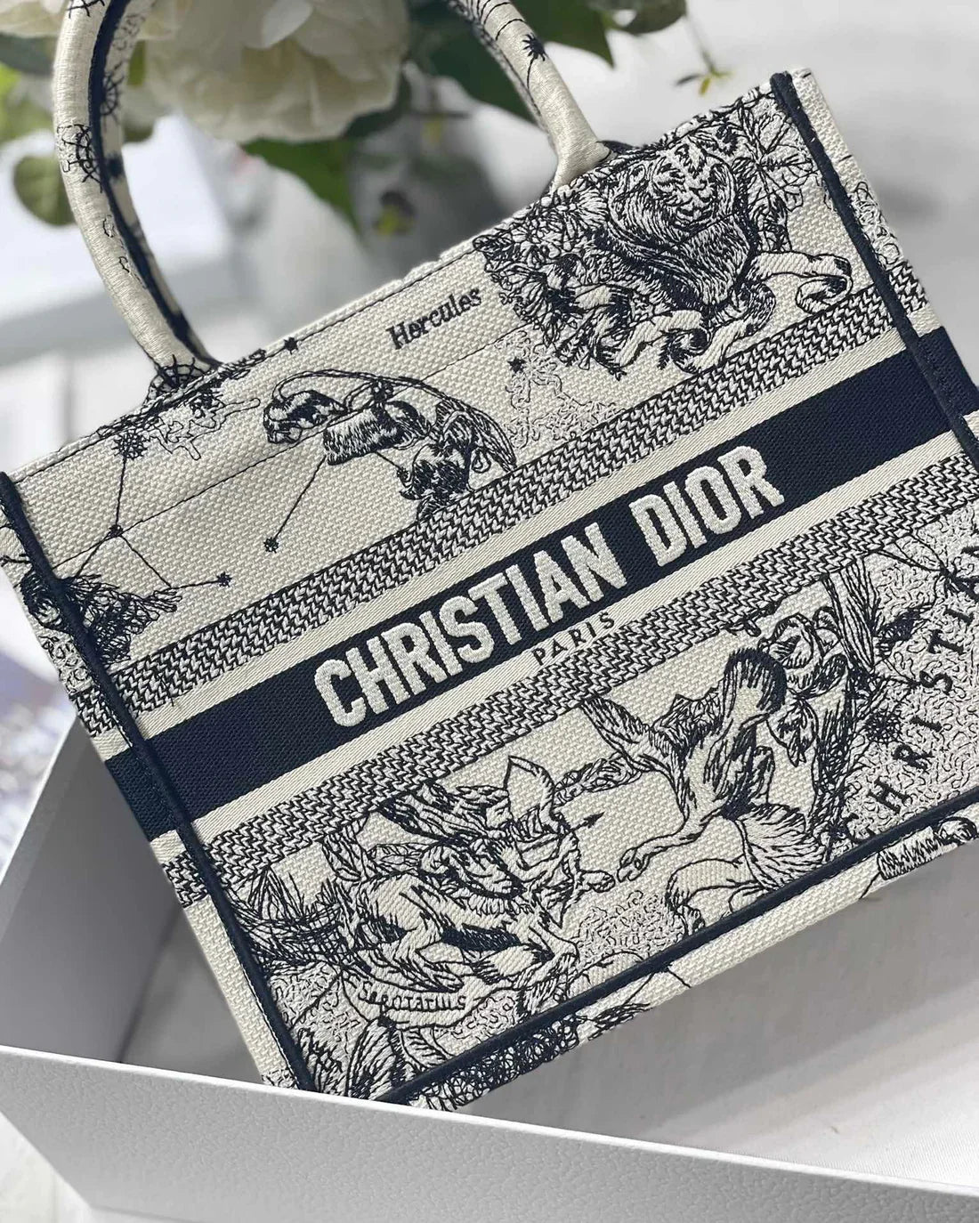DIOR BOOK TOTE WEISS SCHWARZ