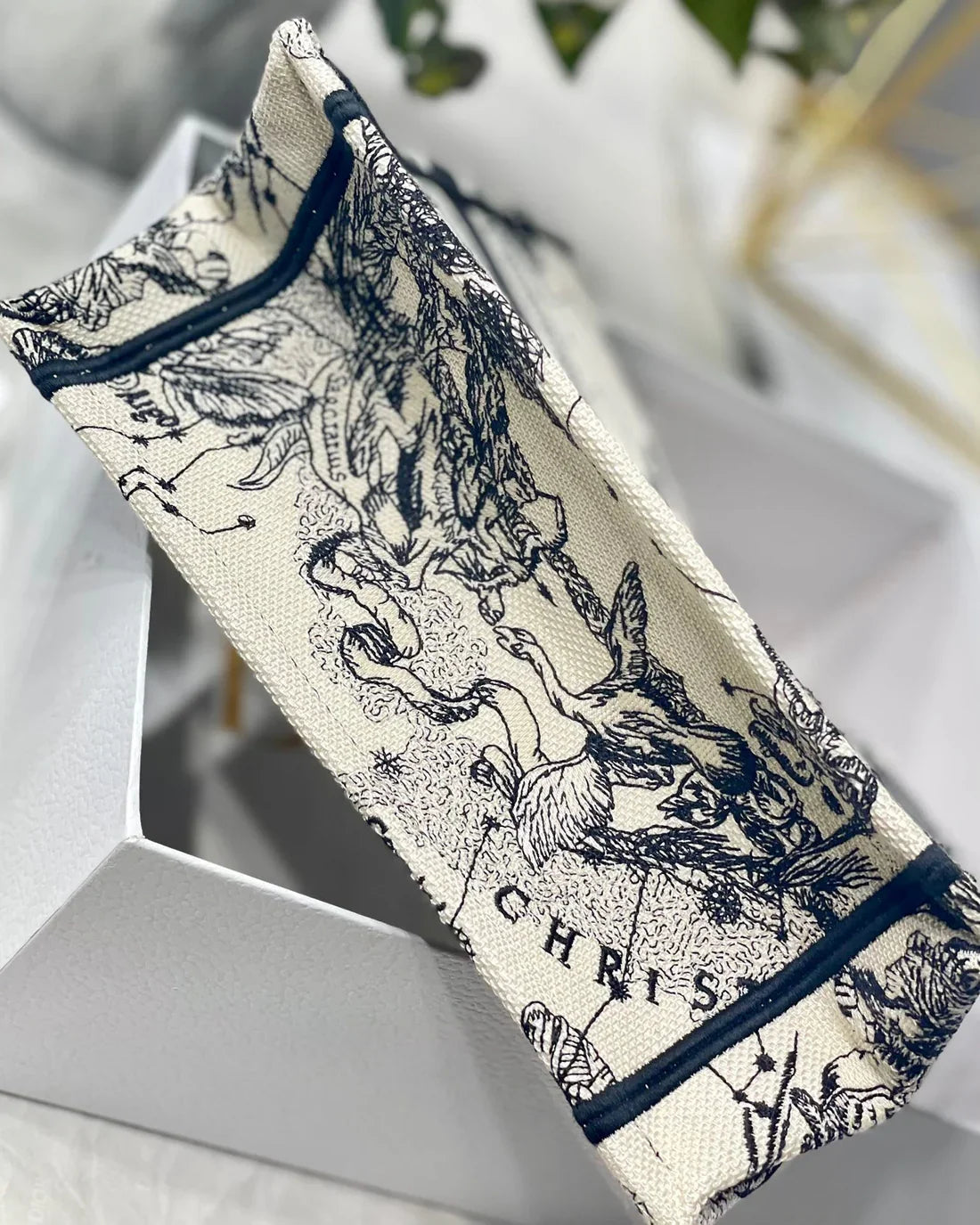 DIOR BOOK TOTE WEISS SCHWARZ
